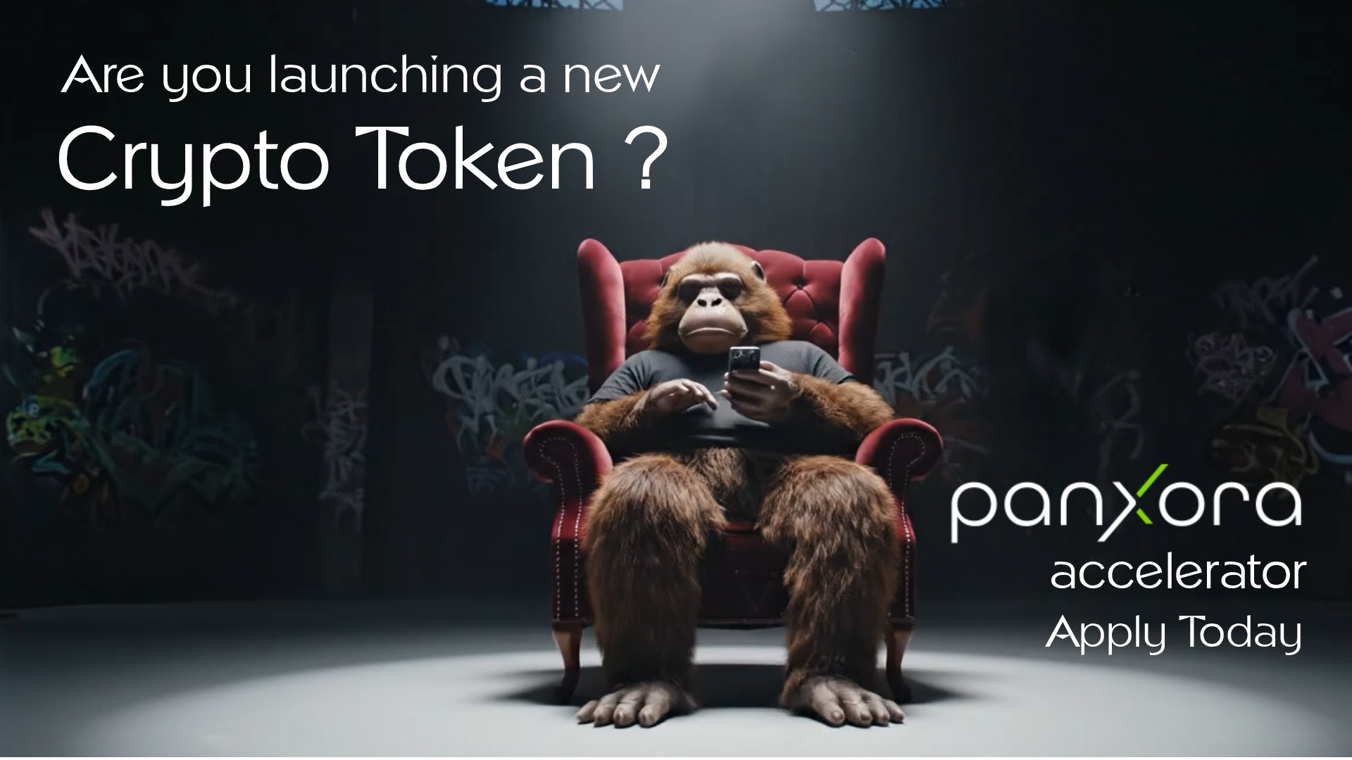 Panxora Accelerator Programme